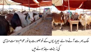 WhatsApp Image 2026 04 17 at 7.09.56 PM 1