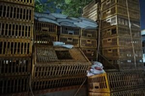 WhatsApp Image 2026 04 20 at 3.26.05 PM