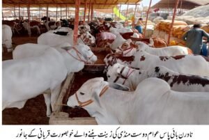 WhatsApp Image 2026 04 20 at 6.24.38 PM 1