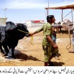 WhatsApp Image 2026 04 20 at 6.24.38 PM