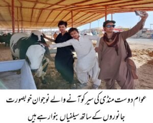 WhatsApp Image 2026 04 20 at 6.24.39 PM