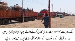 WhatsApp Image 2026 04 22 at 8.15.54 PM 2