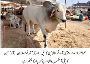 WhatsApp Image 2026 04 23 at 6.30.05 PM