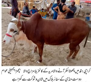 WhatsApp Image 2026 04 24 at 6.27.36 PM 1