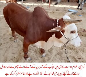 WhatsApp Image 2026 04 24 at 6.27.36 PM 2 1