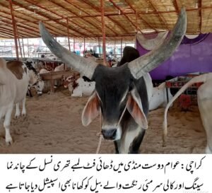 WhatsApp Image 2026 04 25 at 7.42.00 PM 1