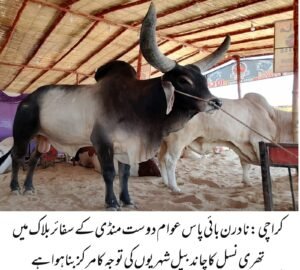 WhatsApp Image 2026 04 25 at 7.42.00 PM