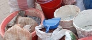 WhatsApp Image 2026 04 26 at 3.47.39 PM 1