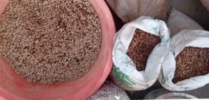 WhatsApp Image 2026 04 26 at 3.47.40 PM