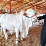 WhatsApp Image 2026 04 26 at 8.39.20 PM