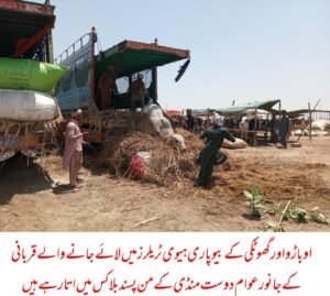 WhatsApp Image 2026 04 27 at 6.29.57 PM 2