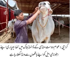 WhatsApp Image 2026 04 28 at 8.27.15 PM 1