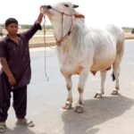 WhatsApp Image 2026 04 28 at 8.27.15 PM e1777392885147