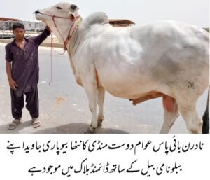 WhatsApp Image 2026 04 28 at 8.27.16 PM