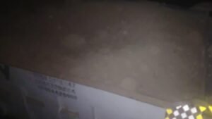 WhatsApp Image 2026 04 29 at 5.39.31 PM