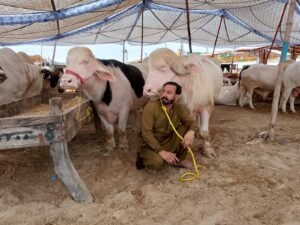 WhatsApp Image 2026 04 29 at 9.16.29 PM 1