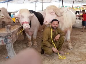 WhatsApp Image 2026 04 29 at 9.16.30 PM 1