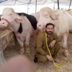 WhatsApp Image 2026 04 29 at 9.16.30 PM