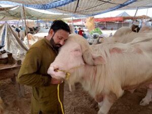 WhatsApp Image 2026 04 29 at 9.16.30 PM 2