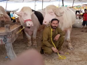 WhatsApp Image 2026 04 29 at 9.16.31 PM 1