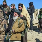 b9e1e710 fbca 11ef 896e d7e7fb1719a4.jpg