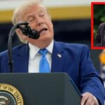 Donald Trump with political context as Mary Trump comments on his health and White House response
