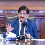 Sindh Chief Minister Murad Ali Shah discussing investment opportunities with American investors in Karachi