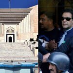 Imran Khan hospital transfer case and government review petition in Pakistan Supreme Court