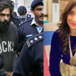 Zahir Jaffer in Noor Mukadam murder case