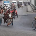 Abdul Majeed celebrates after winning the Commissioner Karachi Cup donkey cart race in Karachi