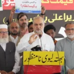 Hafiz Naeem ur Rehman speaks during a Jamaat-e-Islami press conference in Lahore.