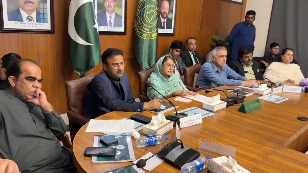 Faryal Talpur chairs a special committee meeting on law and order in Sindh