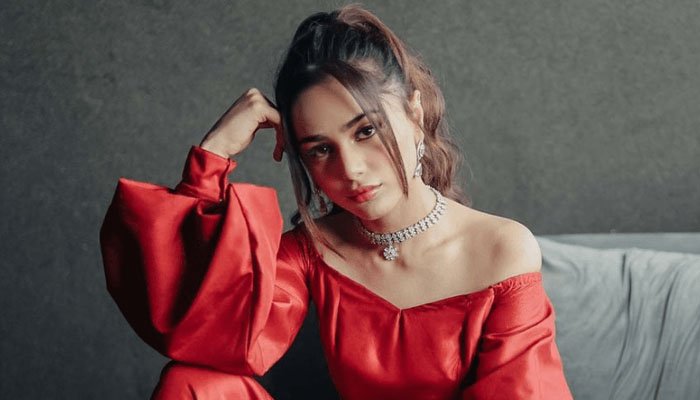 Pakistani singer Aima Baig shares a photo on her Instagram story.