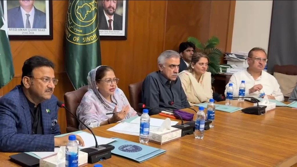 Faryal Talpur chairing a meeting on Katcha areas development in Sindh