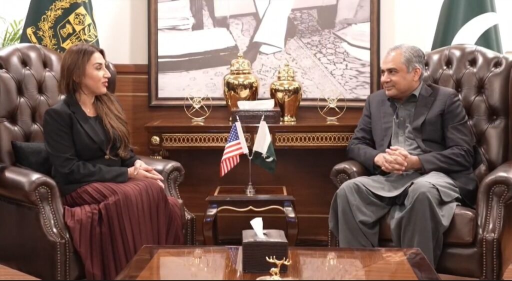 Federal Interior Minister Mohsin Naqvi meeting US Ambassador Natalie Baker