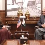 Federal Interior Minister Mohsin Naqvi meeting US Ambassador Natalie Baker