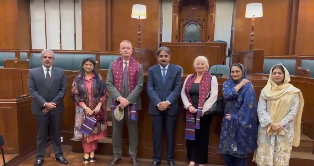 British Deputy High Commissioner Alison Blackburn meets Sindh Assembly Speaker Owais Qadir Shah in Karachi