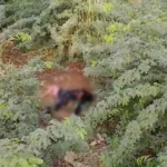 Police investigating young woman's body recovered near Steel Mill Road in Karachi