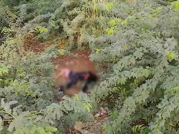 Police investigating young woman's body recovered near Steel Mill Road in Karachi