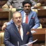 Sindh Senior Minister Sharjeel Memon speaking during a Sindh Assembly session