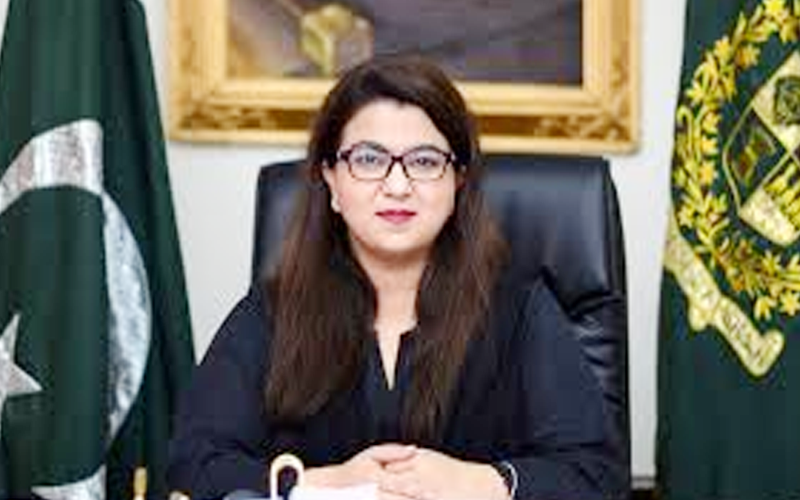 Shaza Fatima addressing an event about Pakistan's IT exports and technology sector.