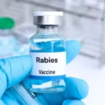 Rabies treatment and dog bite cases at Indus Hospital Karachi