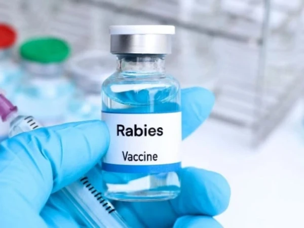Rabies treatment and dog bite cases at Indus Hospital Karachi